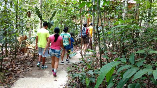 Trilha Chico Mendes: o turismo de base comunitário fortalecendo a economia  do Acre - Acre Agora 