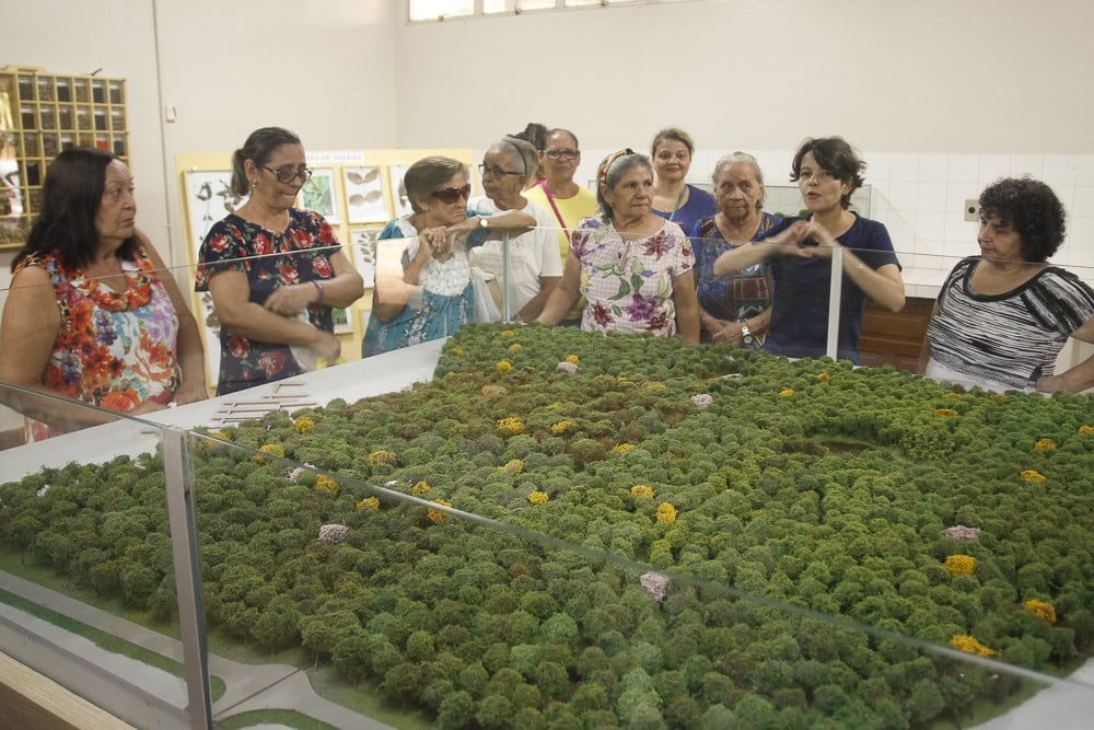 Parte do grupo atentos as explicações sobre a maquete do Parque Zoobotânico